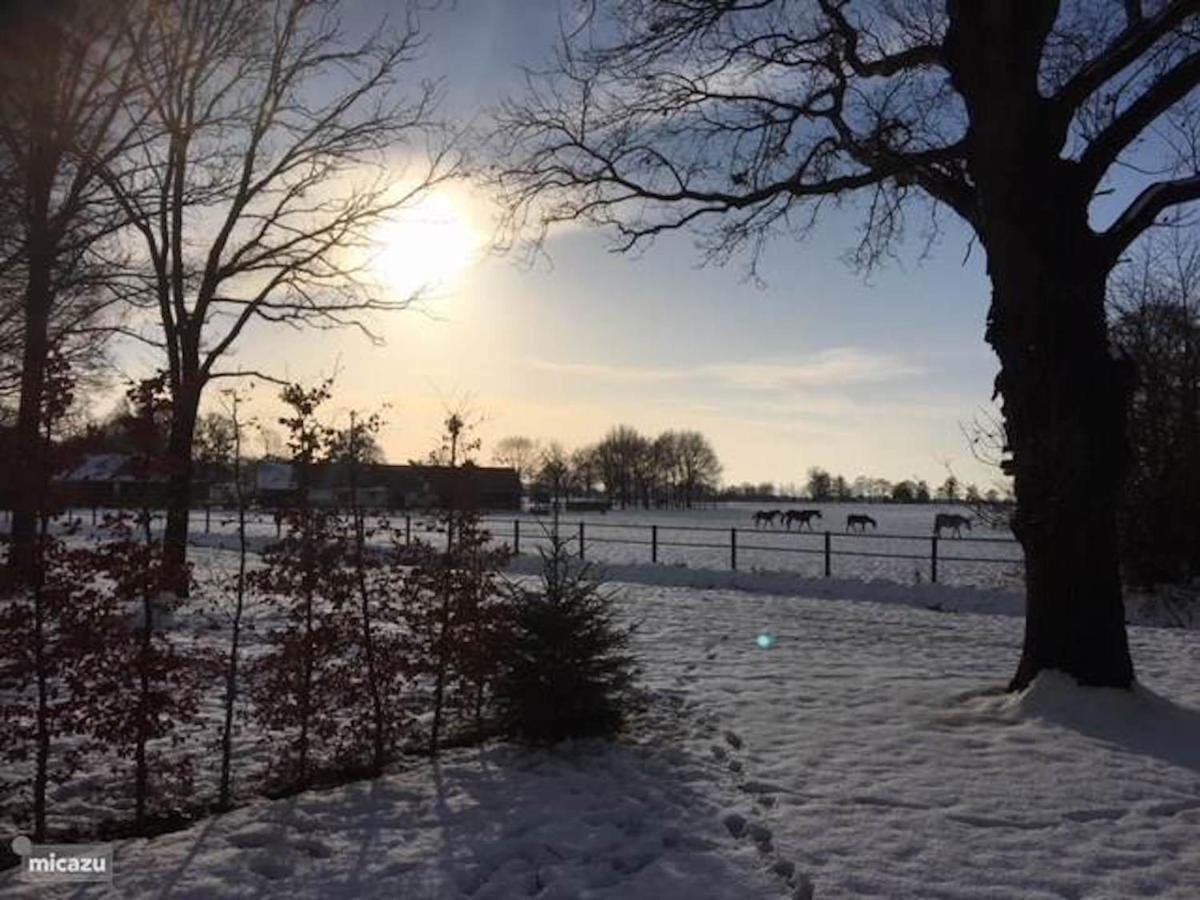Houten Villa Dirk Den Ham Buitenkant foto